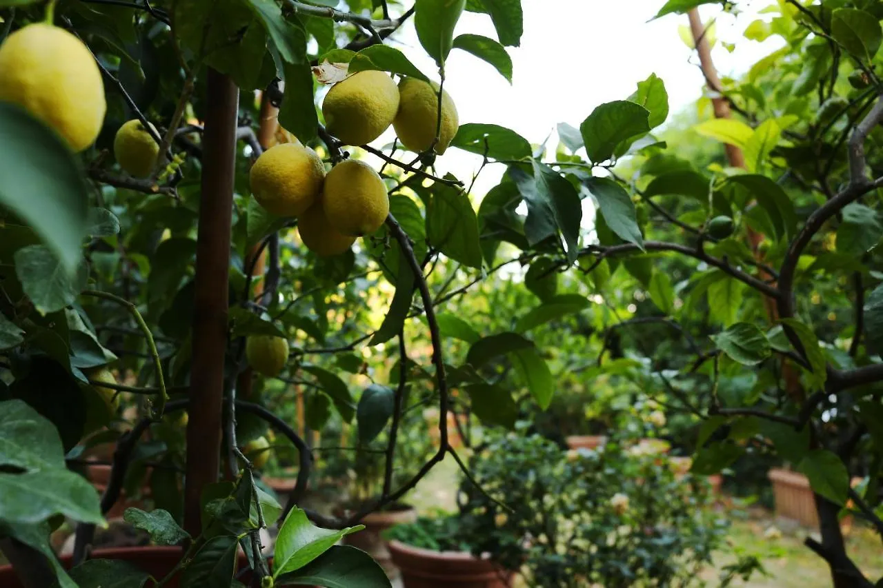 Relais Casamassima Villa Ponte Felcino Farm stay